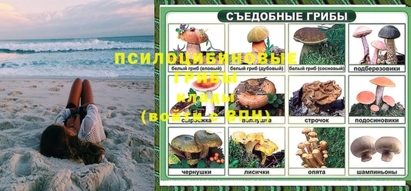spice Михайлов