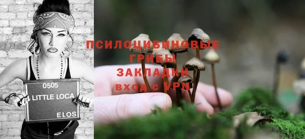 PSILOCYBIN Михайловка