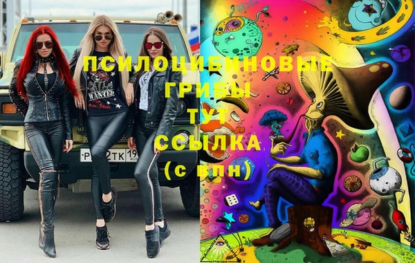 PSILOCYBIN Михайловка