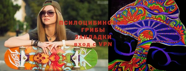 spice Михайлов